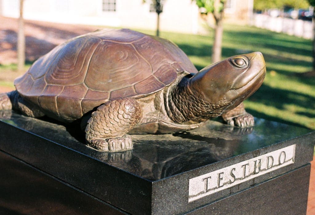 Tesudo the terrapin statue