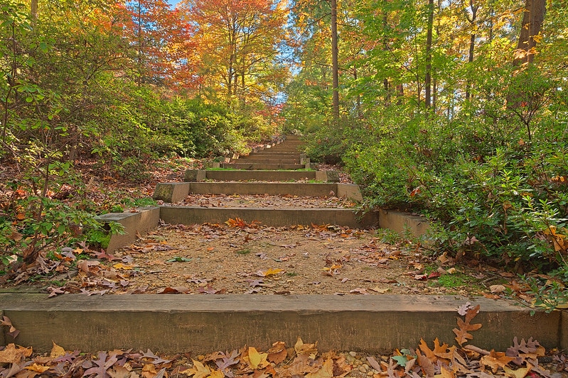 National Arboretum