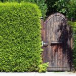 How to Use Your Landscaping to Block Out Noise