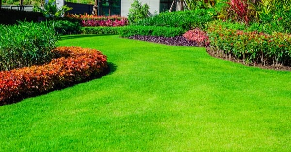 beautiful lawn of a house