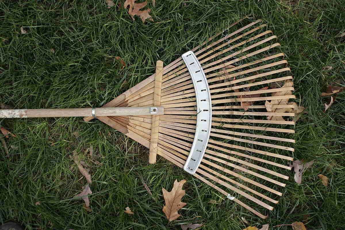 leaf rake picture