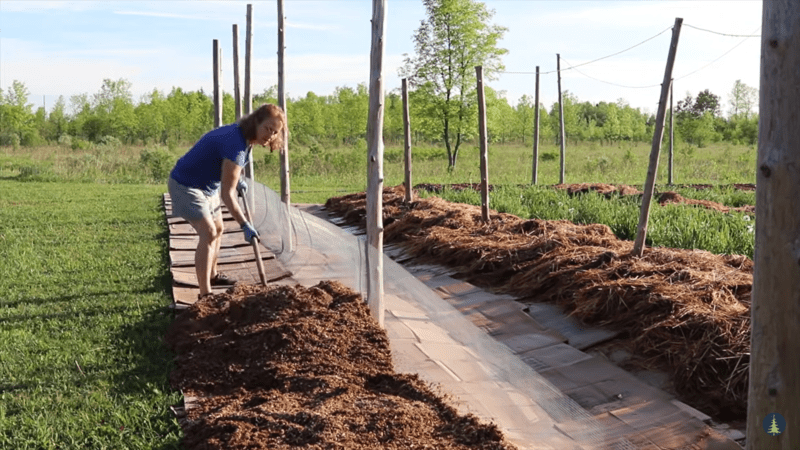 In ground fence