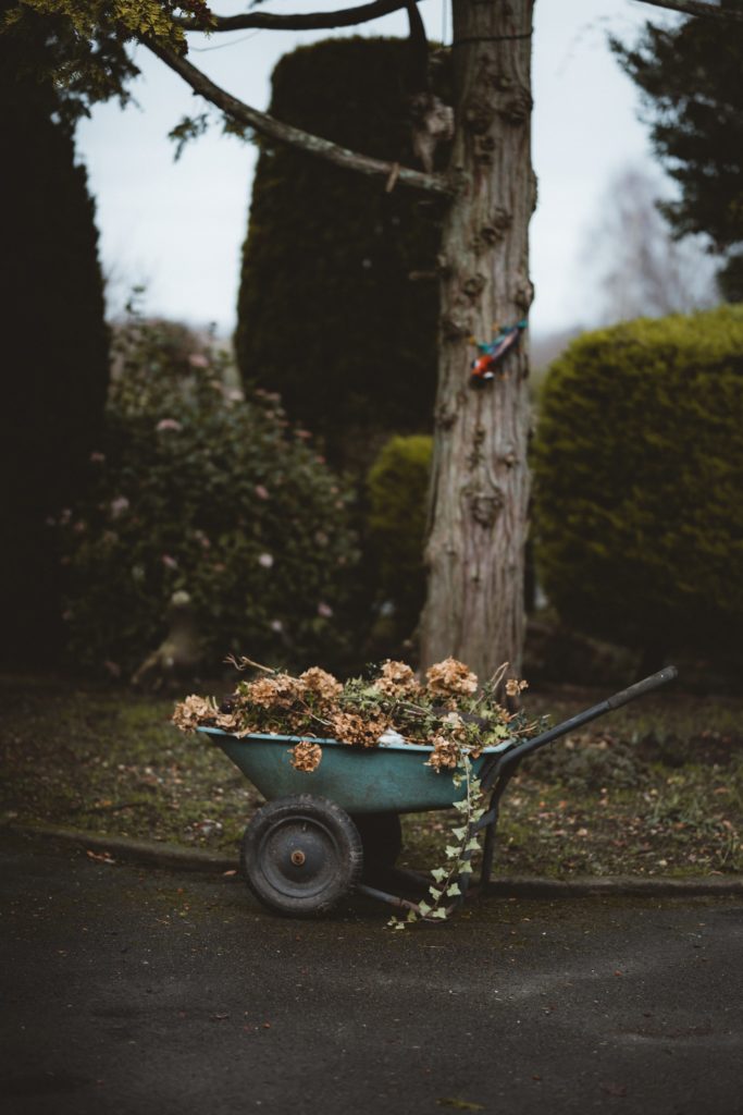 tree pruning