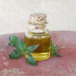 Does Peppermint Oil Repel Spiders?