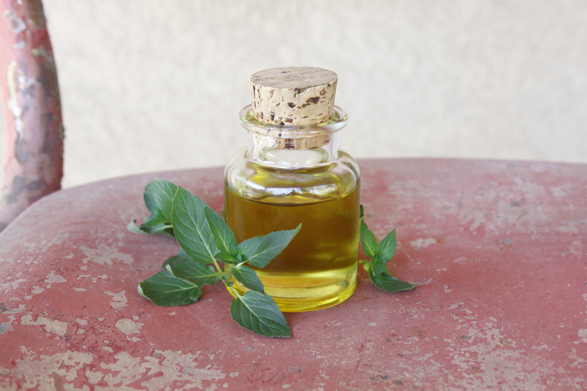 Jar of homemade peppermint oil