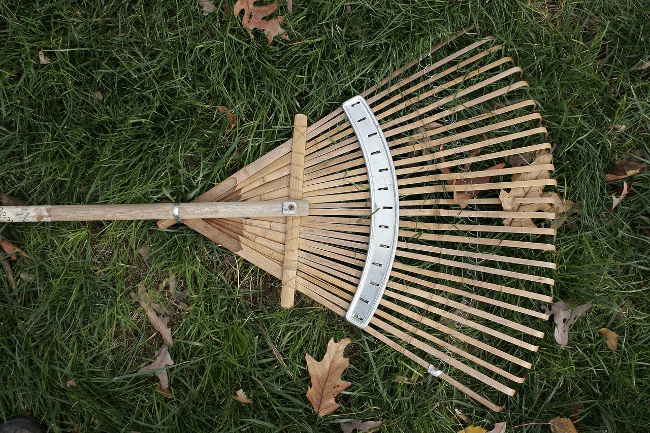 A leaf rake, just one of several rakes for special uses.