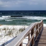 5 Best Grass Types for Pensacola, Florida