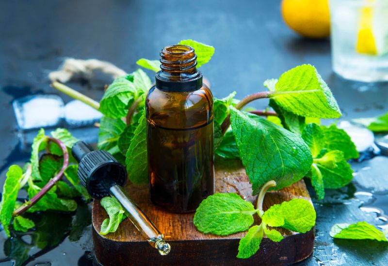 Amber glass dropper bottle of peppermint oil placed on wooden board, surrounded by fresh green peppermint leaves, evoking natural herbal essence.