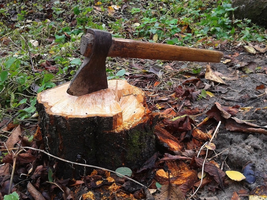 https://pixnio.com/objects/tools/axe-stump-tree-cutting-forest-grass-leaf