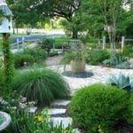 Front Yard vs. Backyard Landscaping Ideas