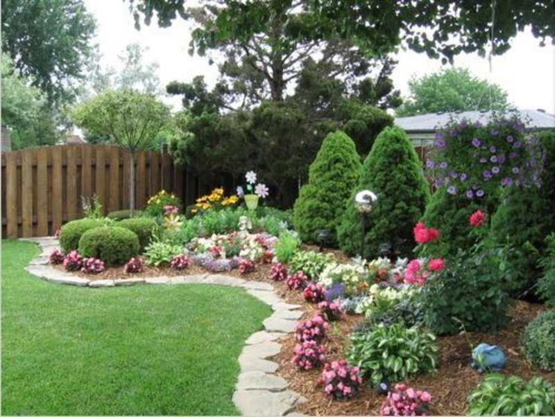 Lawn, Landscape, and Tree