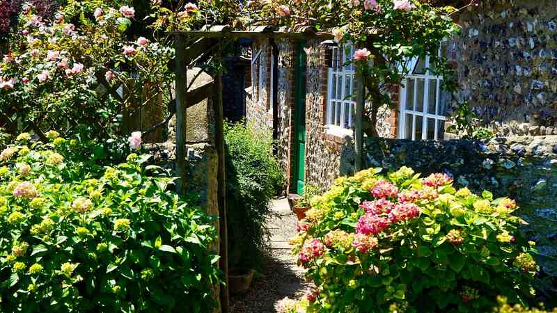 flowers and leaves arch in a garden