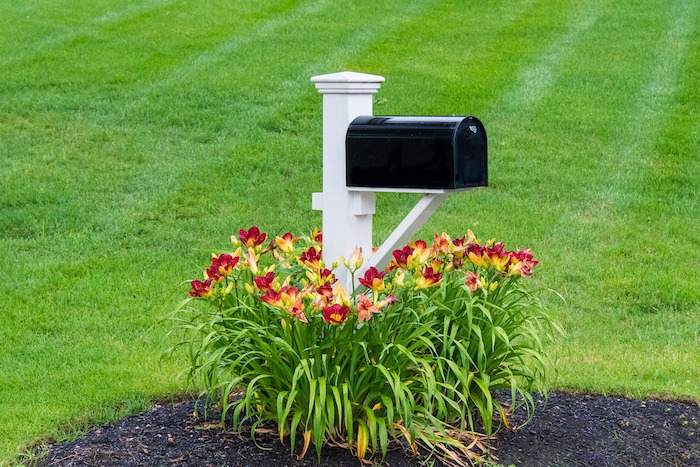 Mailbox With Flowers
