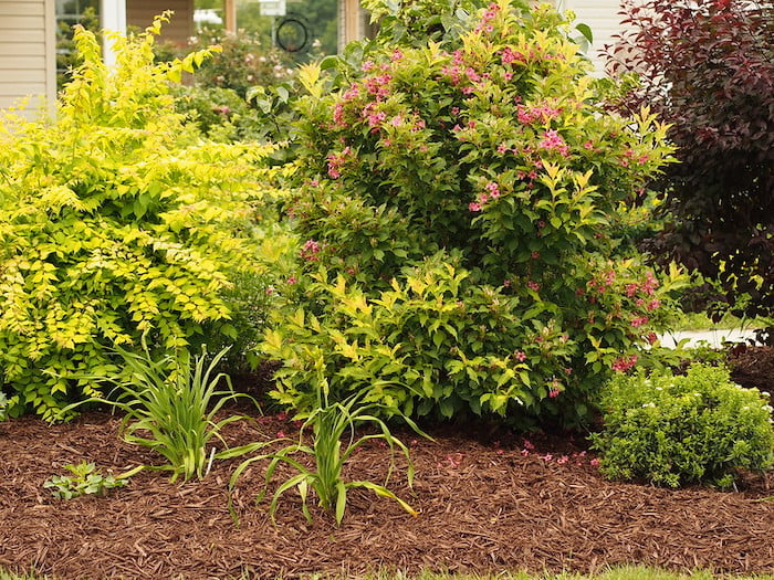 small front yard landscaping ideas on a budget