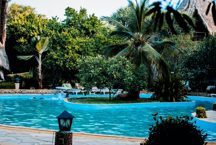 Pool With Private Landscape