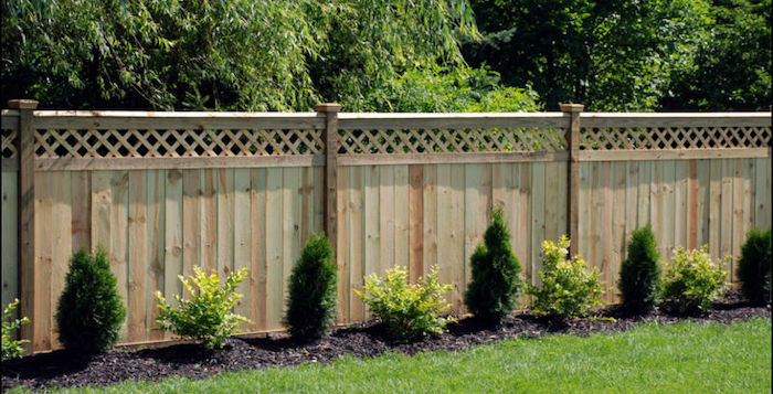 Privacy Fence