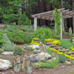 Best Landscaping Rocks for Your Yard Project