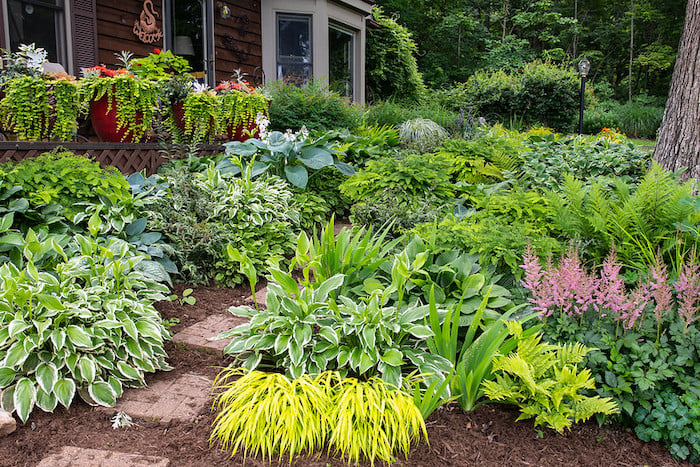 9 Ways To Landscape Around Trees, Landscaping Around Trees On A Slope
