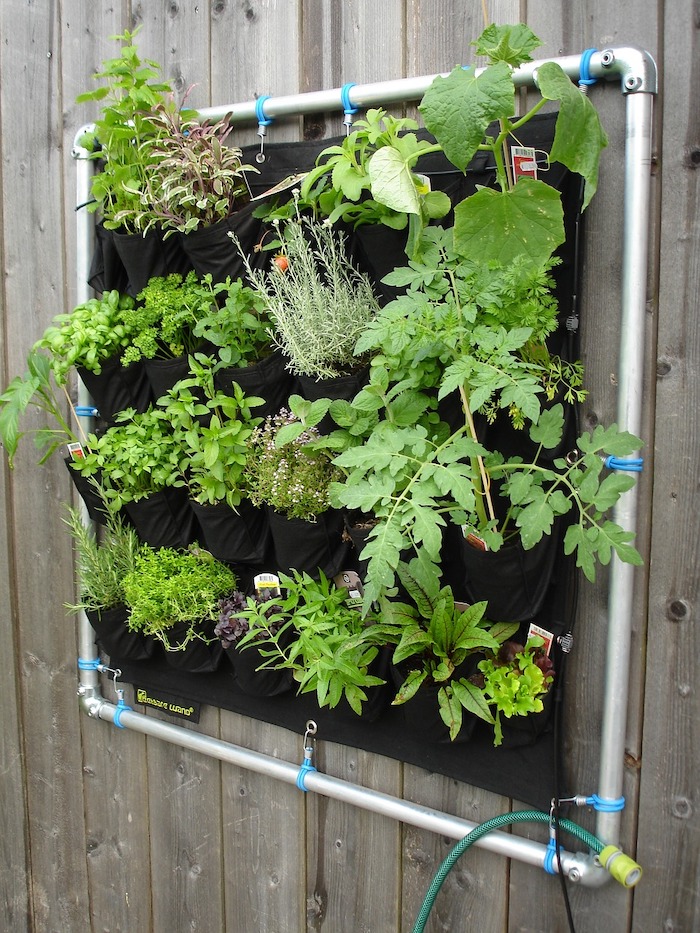 vertical garden