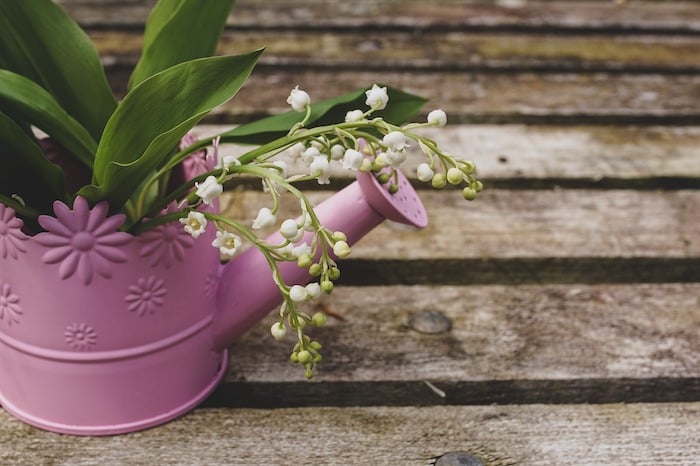 Watering Can With Flowers