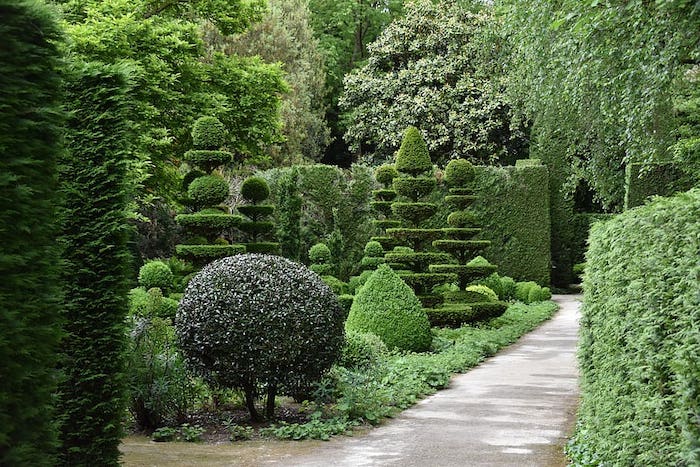 How to use low-maintenance plants in your landscape design