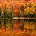 2024’s Best States to Visit This Fall: Foliage and Festivities