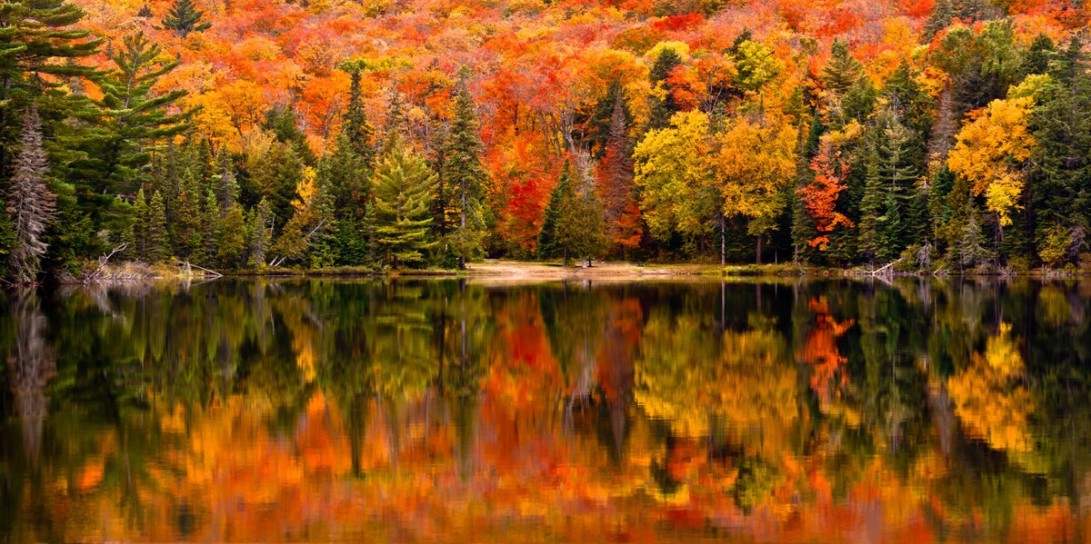 Fall colors on leaves reflected on a lake in the foreground.