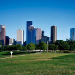 How to Landscape with Trees in Houston