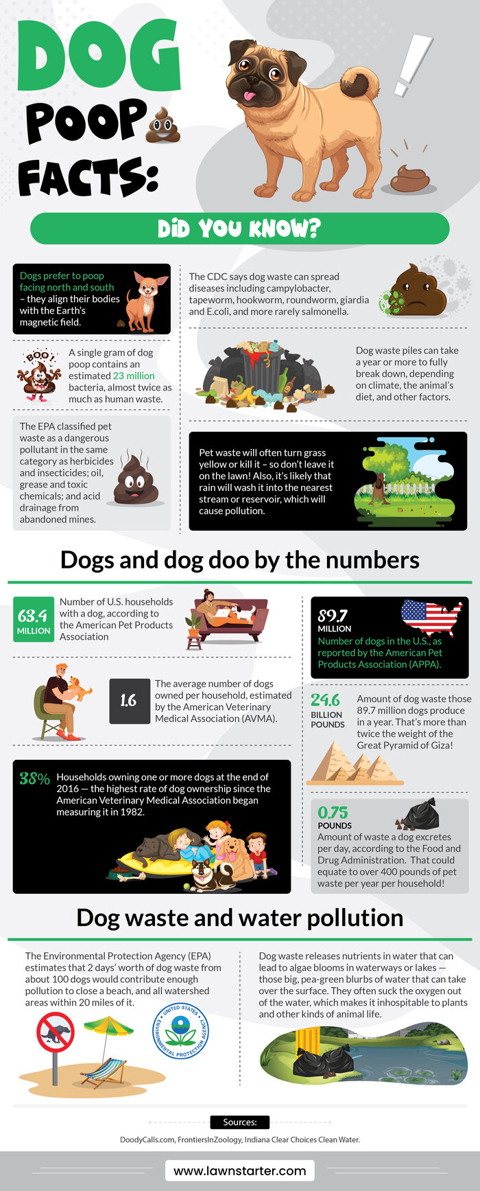 Infographic detailing dog poop facts and dog poop by the numbers, including statistics on the number of dogs per household, etc.