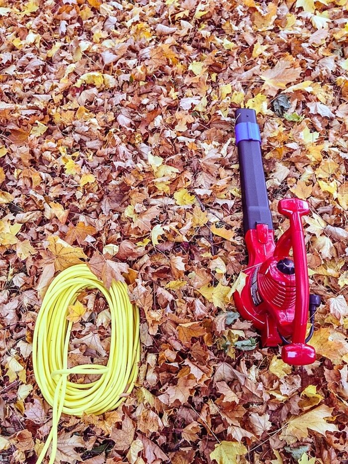 Rope and leaf blower in bed of leaves