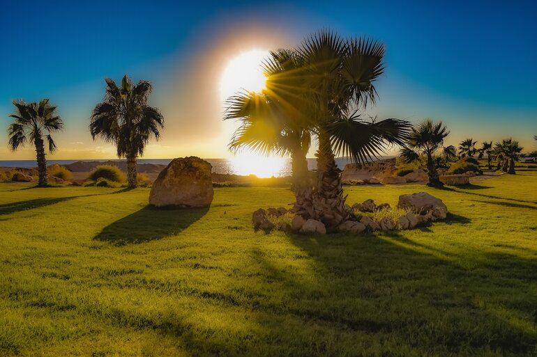 Sun setting over a green lawn dotted with palm trees
