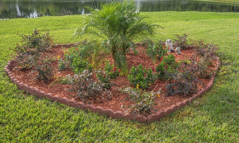 Heart-shaped flower bed with a small palm tree in the center surrounded by shrubs