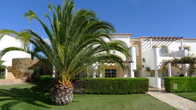 A white building with a palm tree in the front yard