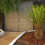 How to Landscape With Palm Trees in Phoenix