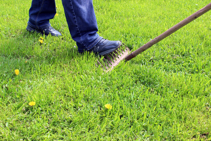 Person stepping on a rake