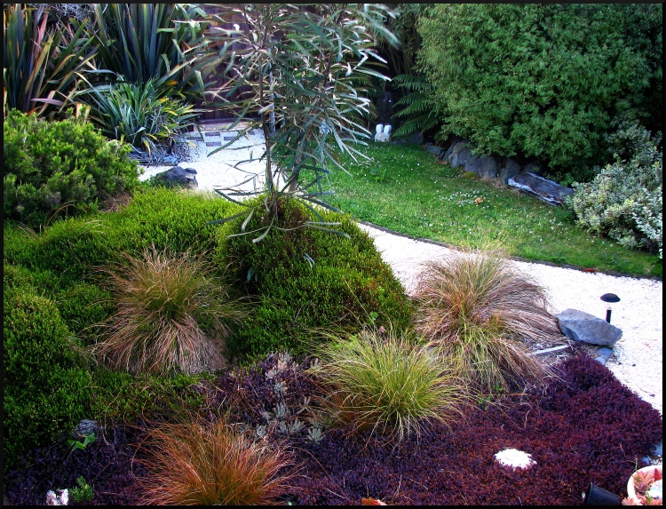 Featured image of post No Mow Front Yard Design : A circle patio was designed to fit under the large oak tree with a bench for two and surrounded by lush shade loving plants.