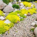 Best Landscaping Rocks for Your Yard Project