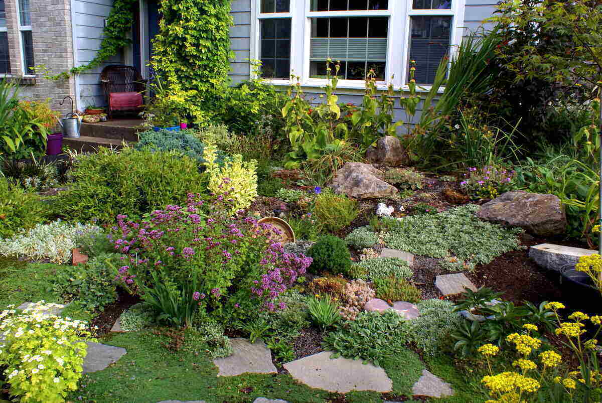 Rock Garden