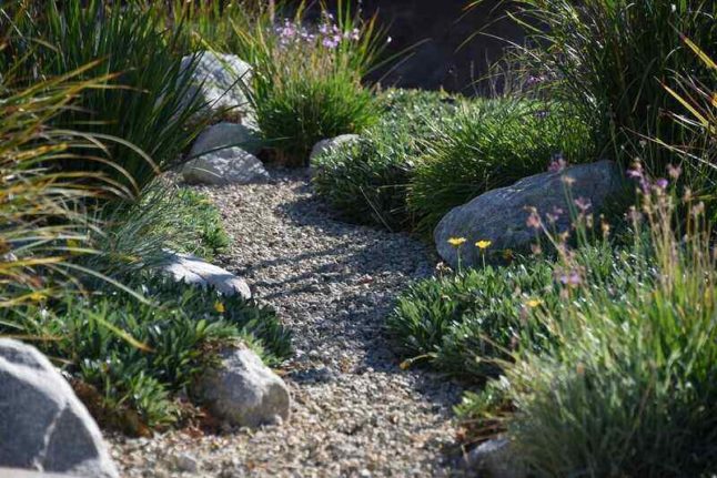 Dry Rock Garden