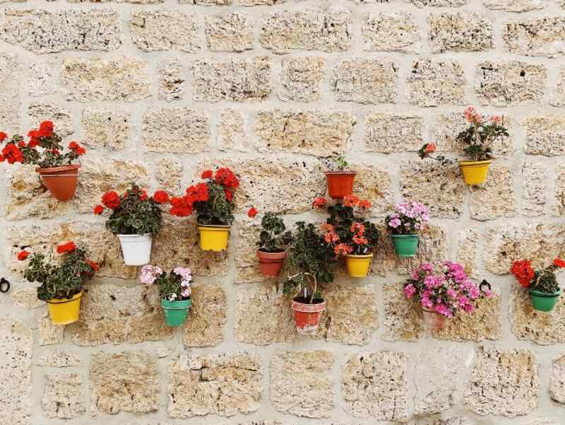 vertical planters on wall