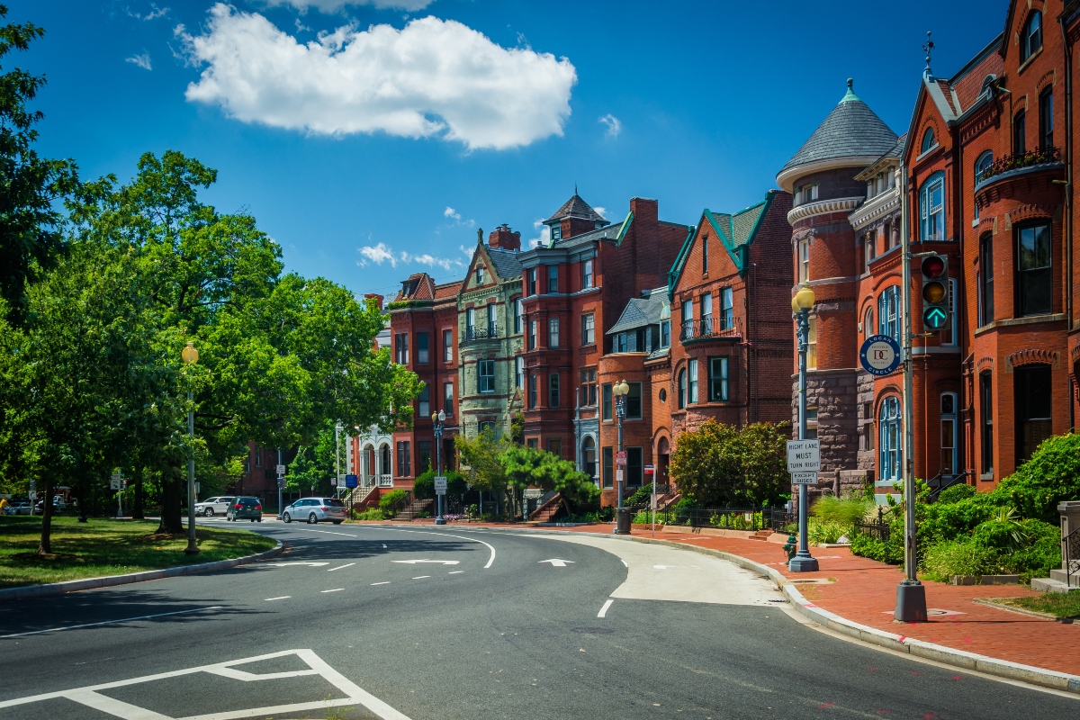 tree landscaping among row houses in washington dc