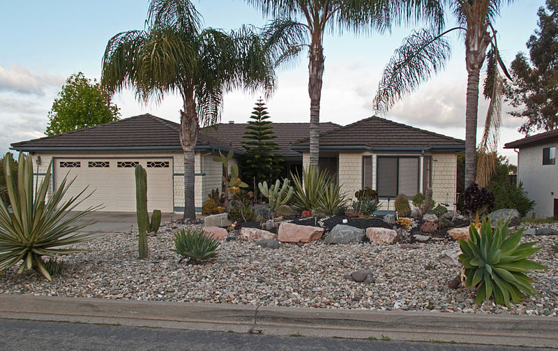  Ways To Create Low Maintenance Landscaping In San Diego Lawnstarter - Low-maintenance Landscaping Ideas For Front Yard