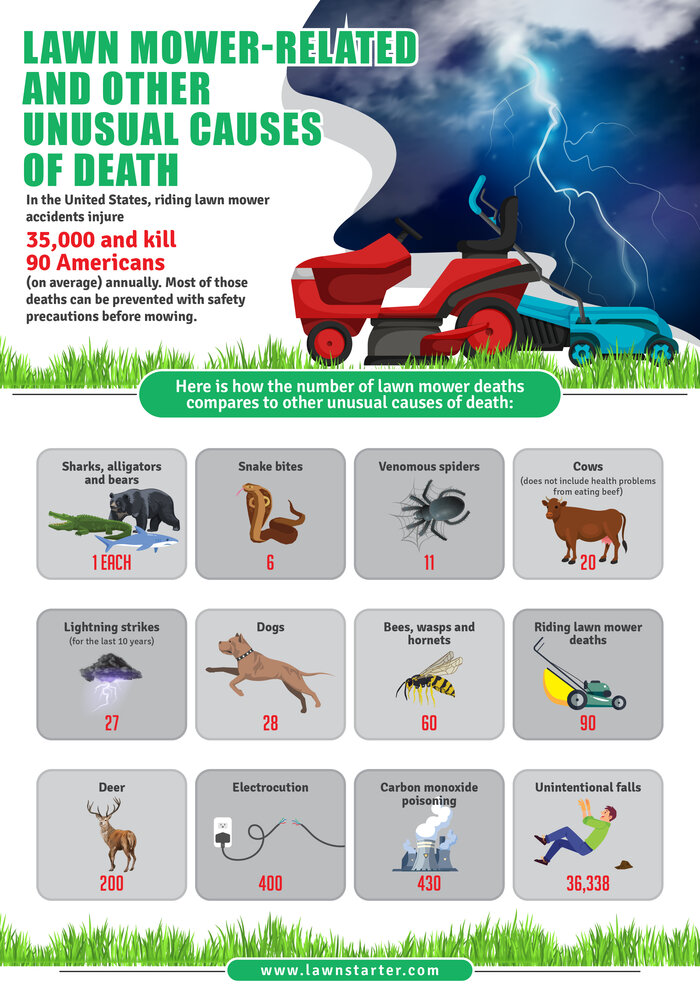 Infographic showing odds of dying from a lightning strike, a riding lawn mower accident, electrocutions, unintentional falls, etc.