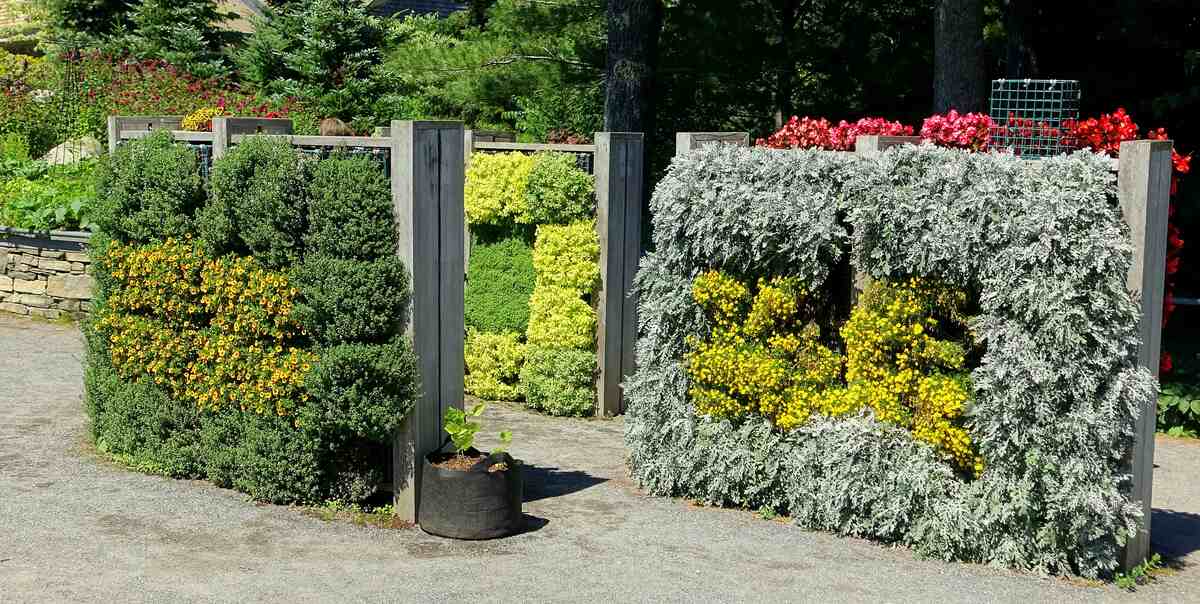 Easy Cinder Block Shelves {Perfect for Plants} - Love & Renovations