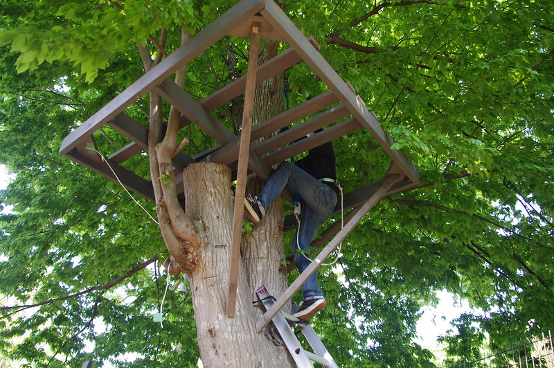 Man climbing up a tree to a treehouse platform in the process of being built