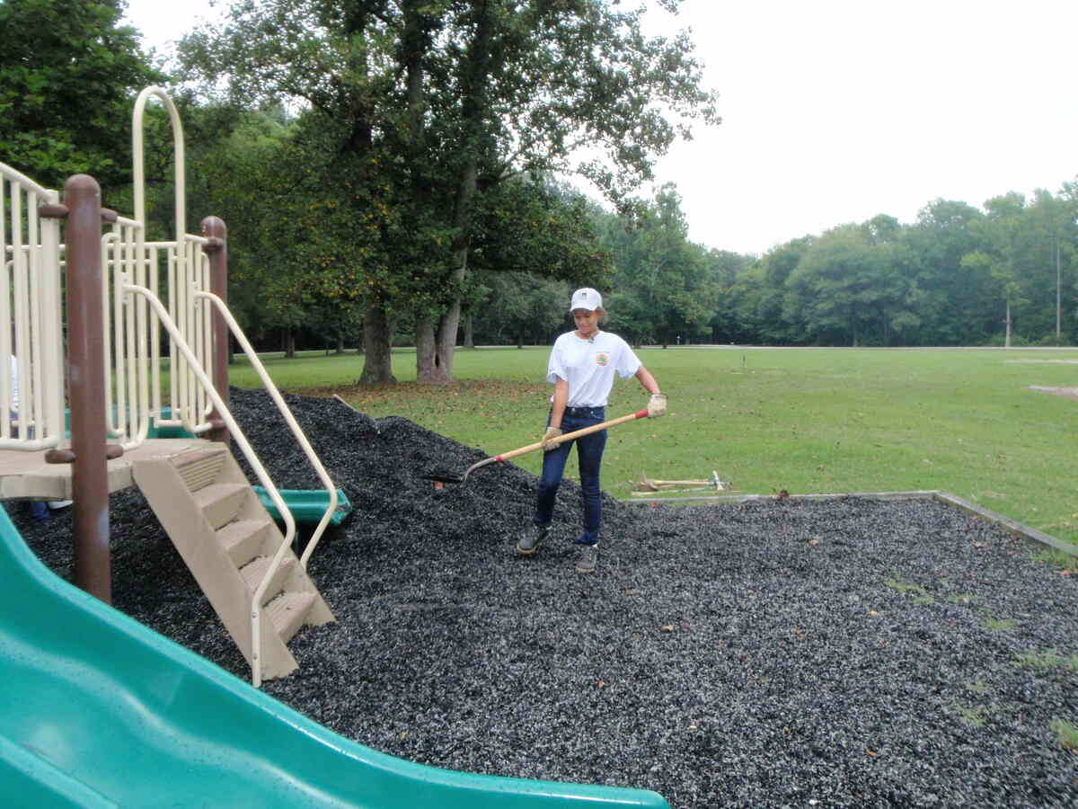 Rubber mulch landscape