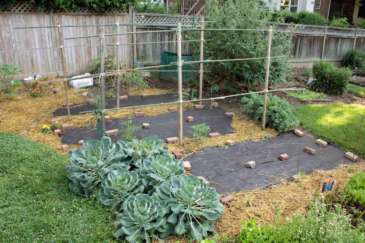 DIY landscape fabric in a vegetable garden