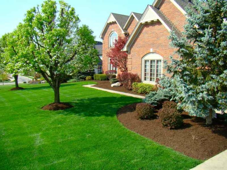 How to Install Landscape Fabric (in 9 Easy Steps)