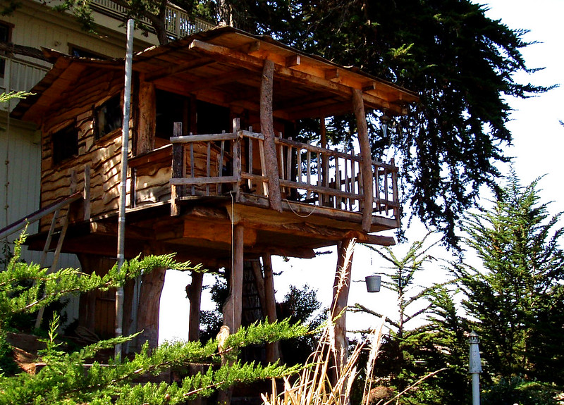 Wooden treehouse on stilts