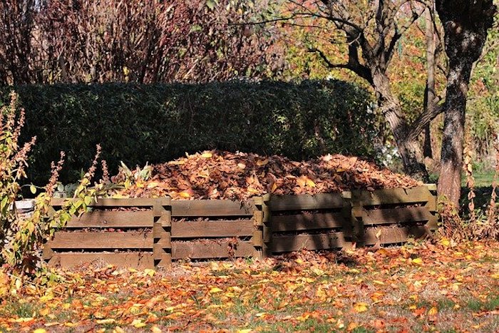 Compost pile covered in leaves